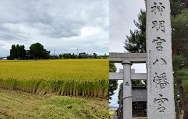 blog7